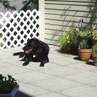 Robin Hilliard - Quora Profile Picture of Robin Hilliard (@robin-hilliard-3) on Quora