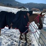 Profile Picture of Tamara Campbell (@tamm_907) on Instagram