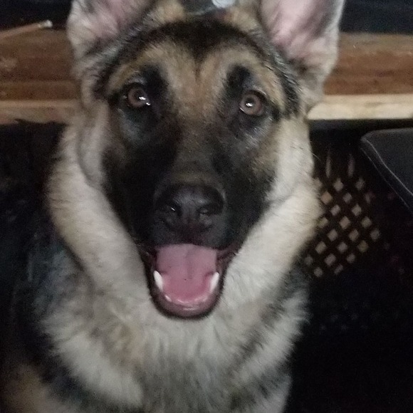 Profile Picture of Matt Gonzales (@uppercuttattoo) on Poshmark