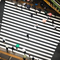 Profile Picture of Jingwei Zhang (@Liiiisaishere) on Twitter