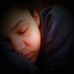 Profile Picture of Matthew Eisenberg (@matthew.eisenberg.7) on Facebook