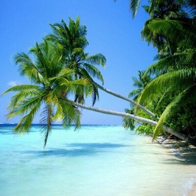 Profile Picture of Louis Vignon (@L_Vignon) on Twitter