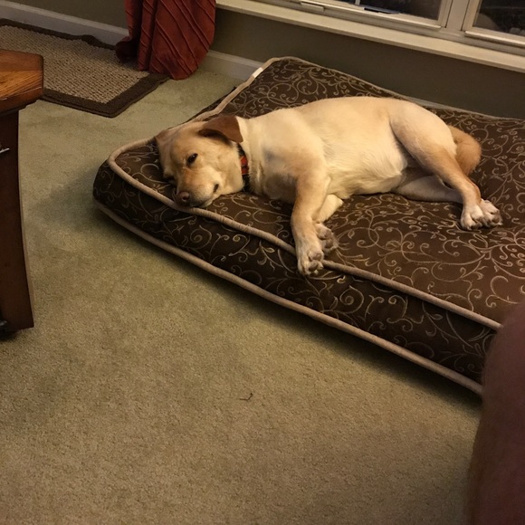 Profile Picture of Beth Maryman (@mugsymurray) on Poshmark