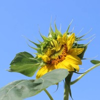 Profile Picture of Isabel Crosby (@isabel-crosby-2) on Quora