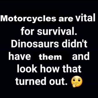 Profile Picture of Duncan Shaw (@duncan.shaw.963) on Facebook