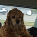 Profile Picture of Eric Lampman (@eric.lampman.77) on Facebook