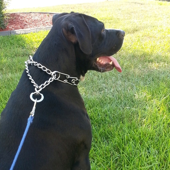 Profile Picture of James Murray (@ravensbm) on Poshmark