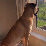 Profile Picture of Thomas Stafford (@Thomas-Stafford) on Facebook