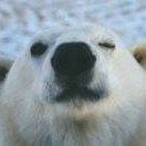 Profile Picture of Richard Gasperi (@dracorubere) on Pinterest