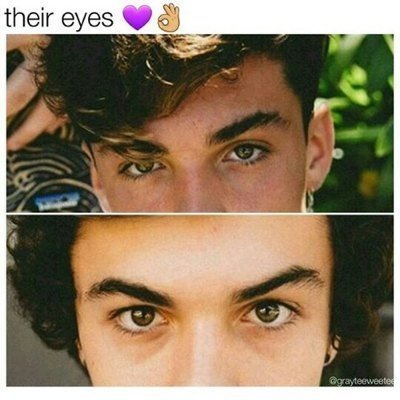 Profile Picture of Sofi (@BobAndRob_Dolan) on Twitter