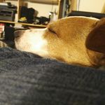 Profile Picture of Douglas Cormack (@seedouglas) on Instagram