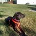 Profile Picture of Danny Clemmons (@danny.clemmons.94) on Facebook