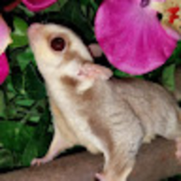 Profile Picture of Caitlin Racek (@crracek8) on Poshmark