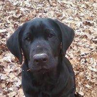 Profile Picture of Danielle Baum (@danielle-baum-9) on Quora