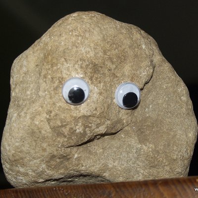 Profile Picture of Steven Arrington (@NuhbeeWhale) on Twitter