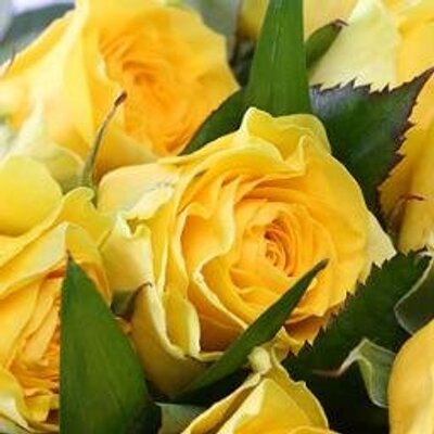 Profile Picture of Amina,mouloudi (@ed1990_mino) on Twitter