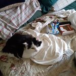 Profile Picture of Danny Jett (@jettdanny122) on Instagram