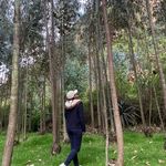 Profile Picture of Andrea Rengifo Avila (@andreasimoneer) on Instagram