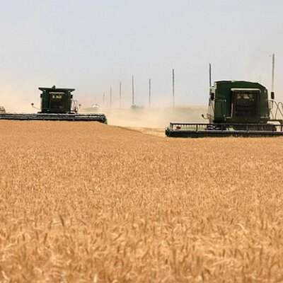 Profile Picture of Scott Ramey (@ramey52) on Twitter