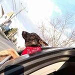 Profile Picture of Travis Kerns (@traviskerns1994) on Instagram