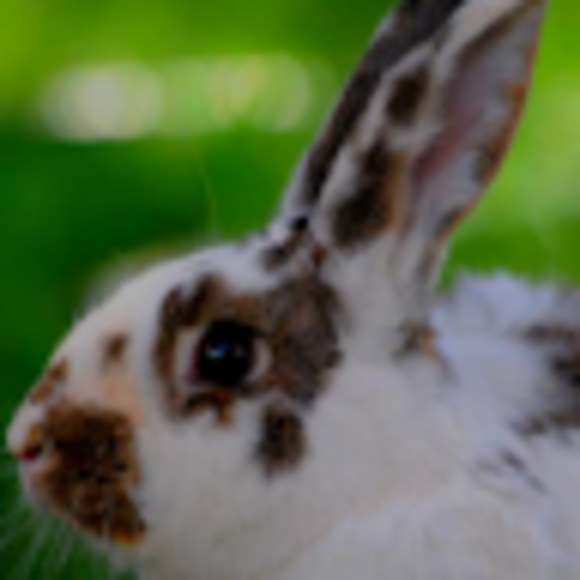 Bella Derheimer - Poshmark Profile Picture of Bella Derheimer (@belladerheimer) on Poshmark