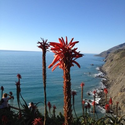 Profile Picture of Fiona Feng (@ghfxrong) on Twitter