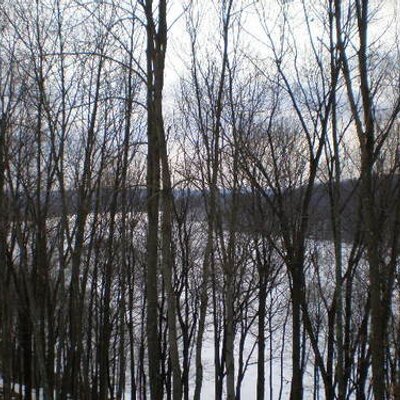 Profile Picture of Robin Holland (@rholland5) on Twitter