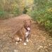 Profile Picture of Daniel Gregg (@daniel.gregg.92505) on Facebook