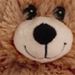 Profile Picture of Bree Clarey (@breeclarey) on Pinterest