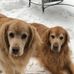 Profile Picture of Robin Rothstein Glaser (Robin Rothstein Glaser) (@robin.r.glaser) on Facebook