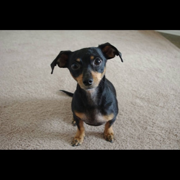 Profile Picture of Adrian Quintanilla (@quintaa2002) on Poshmark