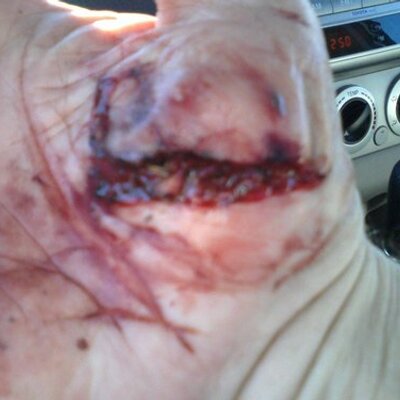 Profile Picture of Gordon Bledsoe (@gordo5183) on Twitter