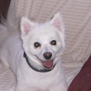 Profile Picture of Shirley BarneyByrne (Shirley Byrne) (@01sss) on Facebook