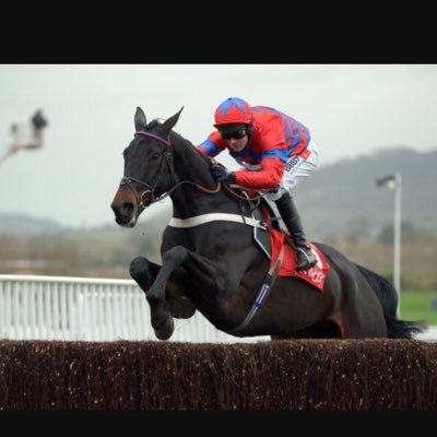 Profile Picture of Michael Earley (@michaelearley13) on Twitter