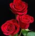 Profile Picture of Lopez Agustín (@lopez.agustin.5076) on Facebook