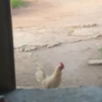 Adolfo Ahumada - Facebook Profile Picture of Adolfo Ahumada (@adolfo.ahumada.566099) on Facebook