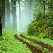 Profile Picture of Alex Persaud (@alexander100780) on Youtube