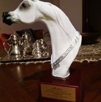 Profile Picture of Giuseppe Ragolia (@giuseppe.ragolia.96) on Facebook