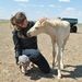 Profile Picture of Elizabeth Braun (@elizabethweil) on Pinterest