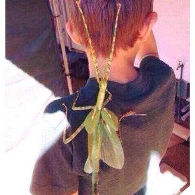 Profile Picture of #jokeezy (@GiangEric13) on Twitter