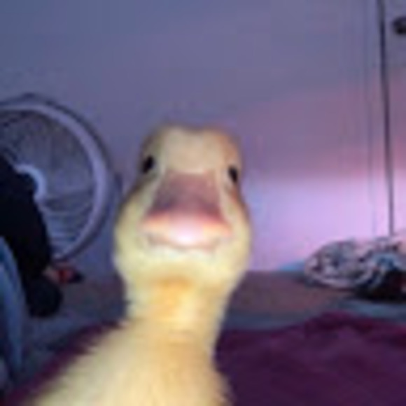 Profile Picture of Kevan G (@kevan_g) on Poshmark