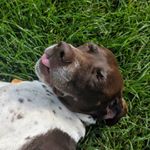 Profile Picture of Bella Vicchiollo (@bellavicchiollo) on Instagram