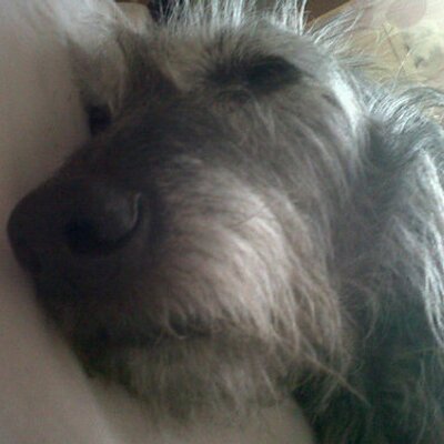 Profile Picture of Martin P Brooks (@MartinPBrooks1) on Twitter