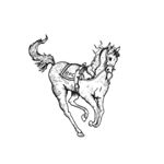 Profile Picture of Brenton P. Clarke (@brenton.clarke) on Instagram