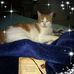 Profile Picture of Debra Paley (@debra.paley.7) on Facebook