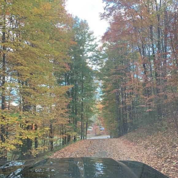 Profile Picture of Heather Aronhalt (@haronhalt84) on Poshmark