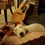 Profile Picture of Sam Binkley (@bamsinkley) on Instagram