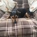 Profile Picture of Sandra Jagger (@sandra.jagger.73) on Facebook