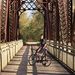 Profile Picture of Travis Schaller (@schaller0883) on Pinterest