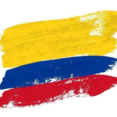 Profile Picture of Luis Toro Soto (@LuisToroS) on Twitter